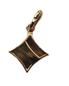 Hanger Regionaalmeester 5000 MP goudkleurig ruiten